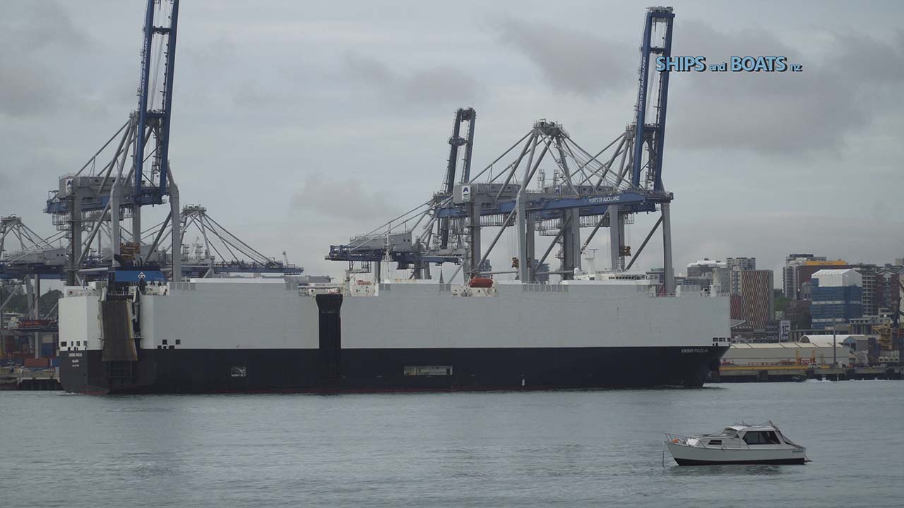 Viking Paglia